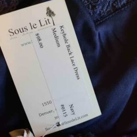 Navy Blue Lace Dress - Picture 3 of 3